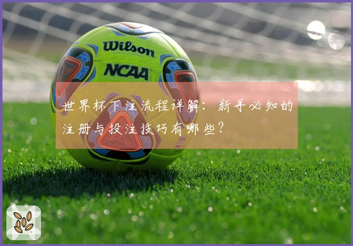 世界杯下注流程详解：新手必知的注册与投注技巧有哪些？