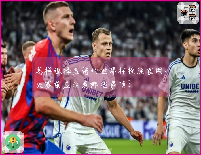 怎样选择靠谱的世界杯投注官网，决赛前应注意哪些事项？