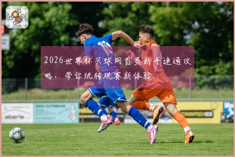 2026世界杯买球网首页新手速通攻略，带你玩转观赛新体验