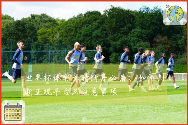 世界杯体彩竞猜新手必看：如何判断正规平台及注意事项