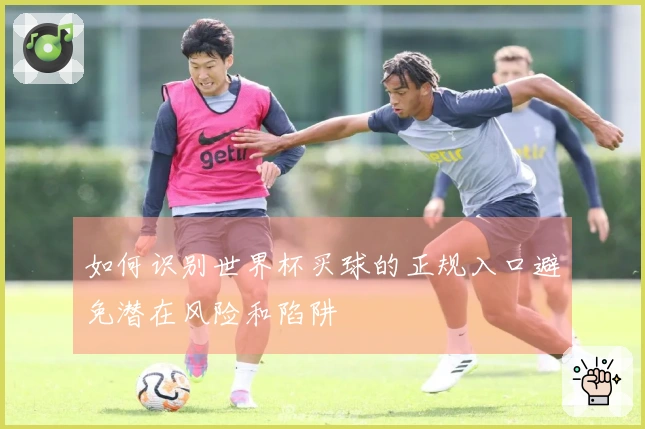 如何识别世界杯买球的正规入口避免潜在风险和陷阱