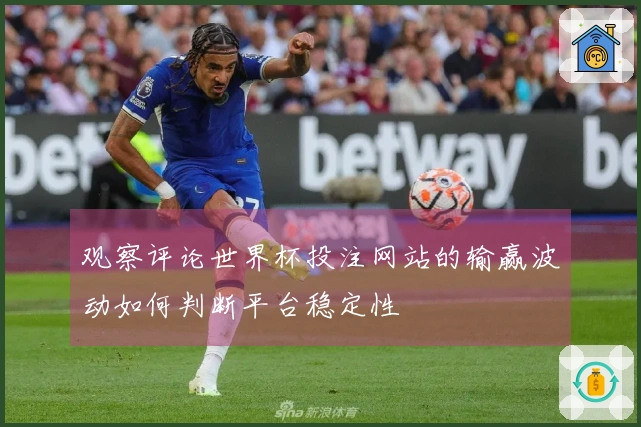 观察评论世界杯投注网站的输赢波动如何判断平台稳定性