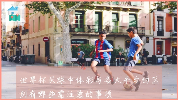 世界杯买球中体彩与各大平台的区别有哪些需注意的事项