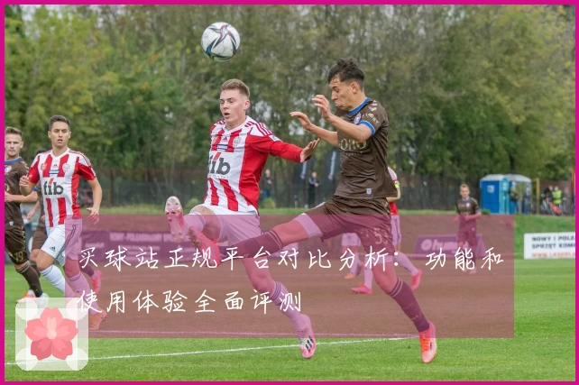 买球站正规平台对比分析：功能和使用体验全面评测