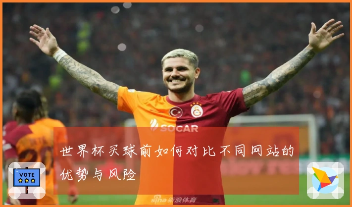 世界杯买球前如何对比不同网站的优势与风险
