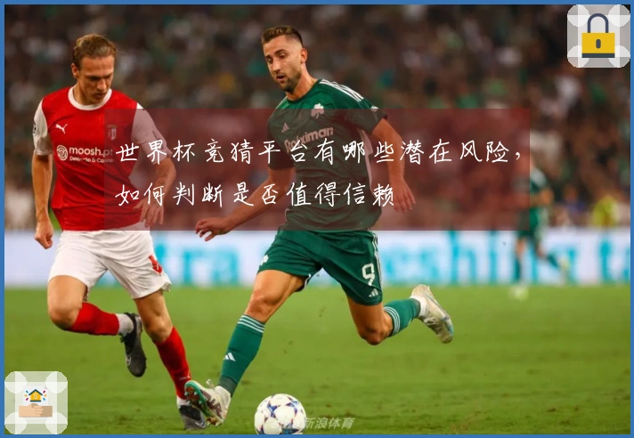 世界杯竞猜平台有哪些潜在风险，如何判断是否值得信赖