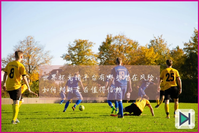 世界杯竞猜平台有哪些潜在风险，如何判断是否值得信赖