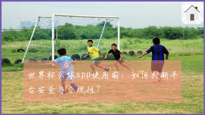 世界杯买球app使用前，如何判断平台安全与合规性？