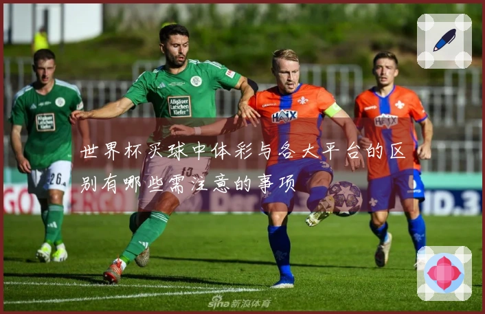 世界杯买球中体彩与各大平台的区别有哪些需注意的事项