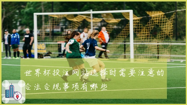世界杯投注网站选择时需要注意的合法合规事项有哪些