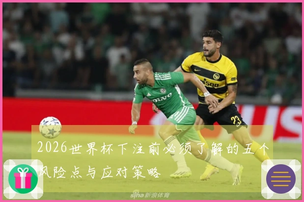 2026世界杯下注前必须了解的五个风险点与应对策略