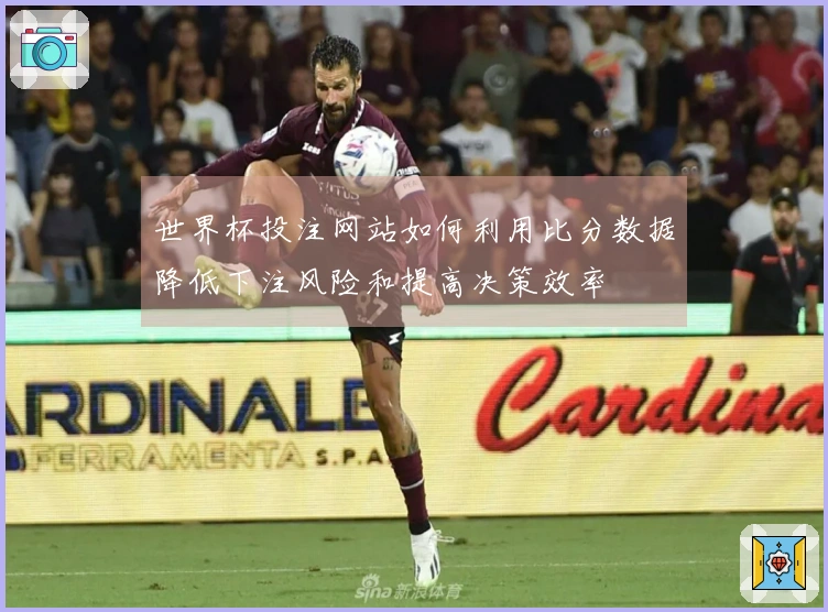 世界杯投注网站如何利用比分数据降低下注风险和提高决策效率