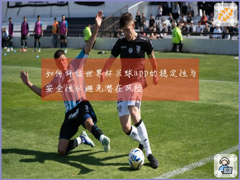 如何评估世界杯买球app的稳定性与安全性以避免潜在风险