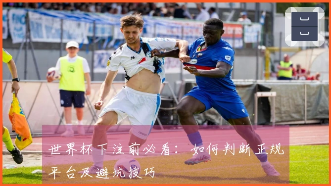 世界杯下注前必看：如何判断正规平台及避坑技巧