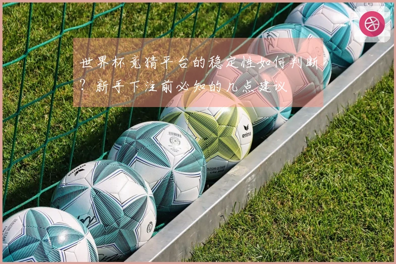 世界杯竞猜平台的稳定性如何判断？新手下注前必知的几点建议