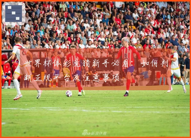 世界杯体彩竞猜新手必看：如何判断正规平台及注意事项